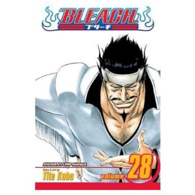 Bleach GN Vol. 28 (Curr PTG)