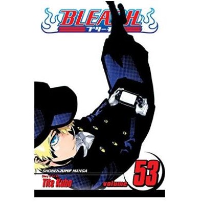 Bleach GN Vol. 53