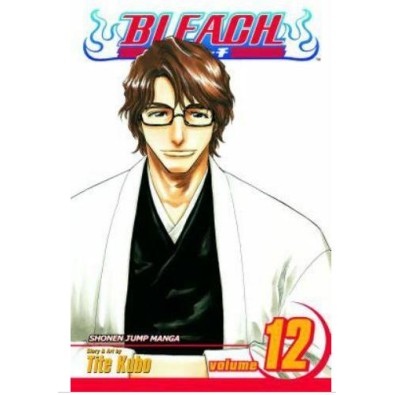 Bleach Vol. 12