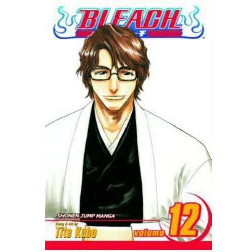 Bleach Vol. 12