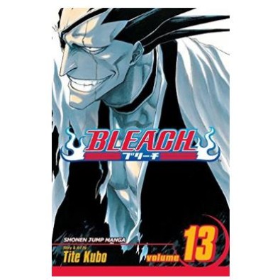 Bleach Vol. 13