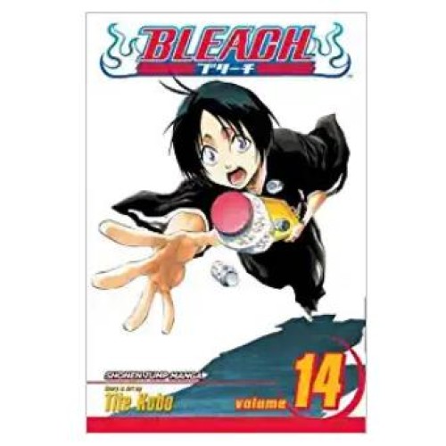 Bleach Vol. 14