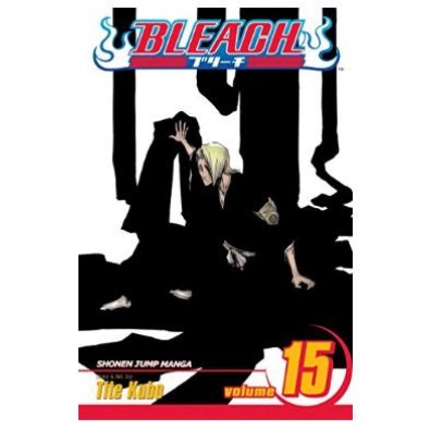 Bleach Vol. 15