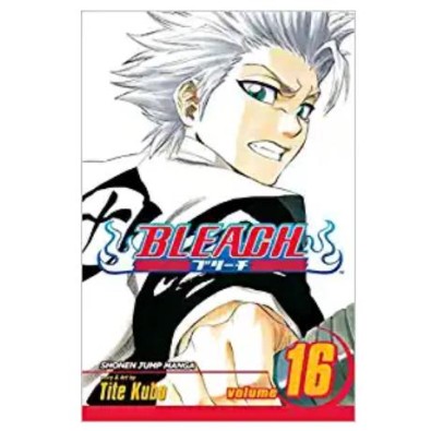 Bleach Vol. 16