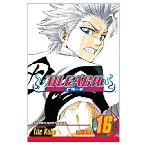 Bleach Vol. 16