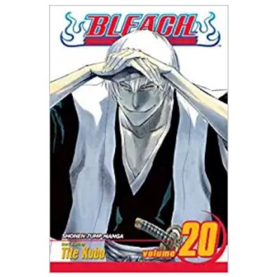 Bleach Vol. 20