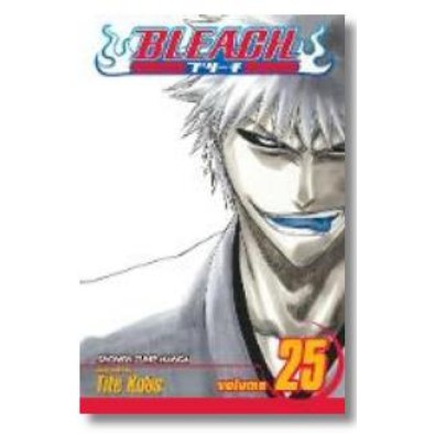 Bleach Vol. 25