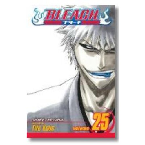 Bleach Vol. 25