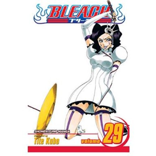 Bleach Vol. 29