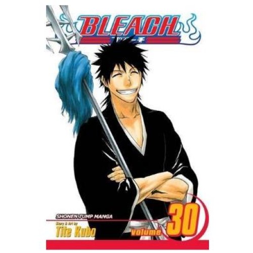 Bleach Vol. 30