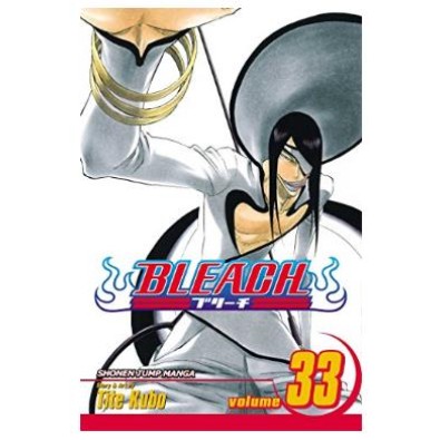 Bleach Vol. 33