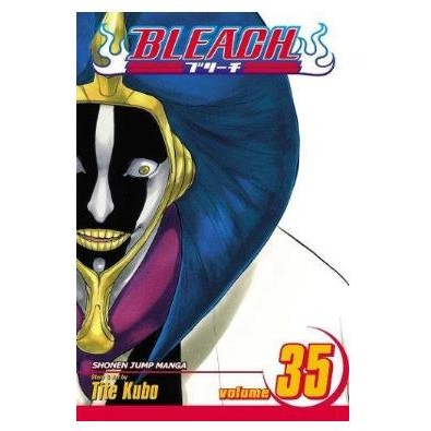 Bleach Vol. 35