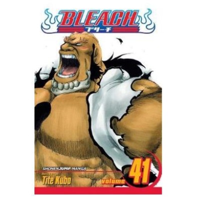 Bleach Vol. 41