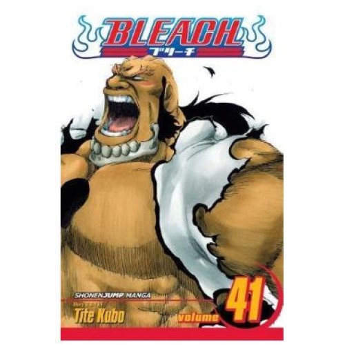 Bleach Vol. 41
