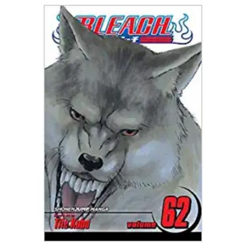 Bleach Vol. 62