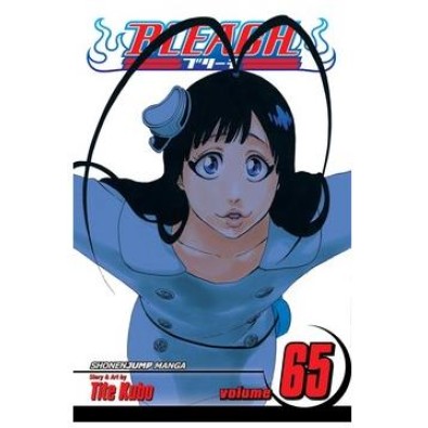 Bleach Vol. 65
