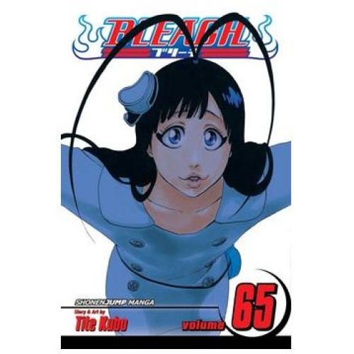 Bleach Vol. 65