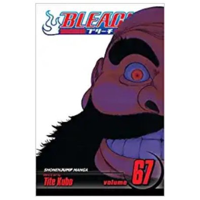 Bleach Vol. 67