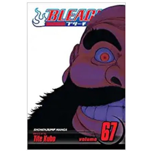Bleach Vol. 67