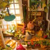 Robotime: Miller's Garden