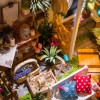 Robotime: Miller's Garden