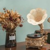 Robotime: Classical Gramophone
