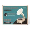 Robotime: Classical Gramophone