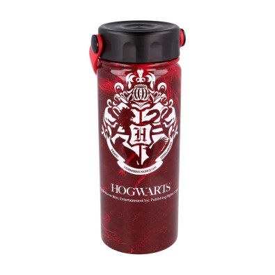 Harry Potter - Young Adult Μπουκάλι Hydro (530 ml)