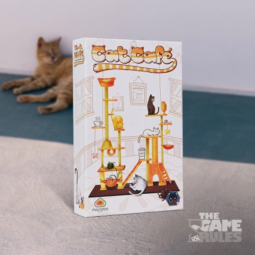 Cat Café