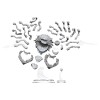 D&D Frameworks: Beholder  
