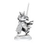 D&D Frameworks: Dragonborn Paladin Male  