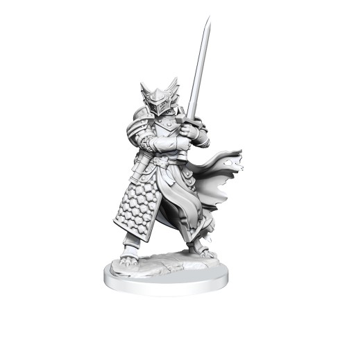D&D Frameworks: Dragonborn Paladin Male  