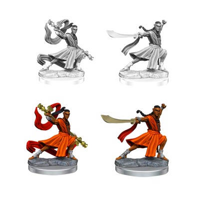 D&D Frameworks: Elf Monk Male