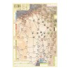 Fitna: Global War in the Middle East