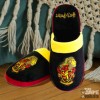 Harry Potter: Gryffindor Lion - Παντόφλες (42-45)