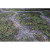Kraken Wargames Gaming Mat: Ancient Green Kill Team and Warcry 2.0 (76x56cm)