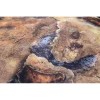 Kraken Wargames Gaming Mat: Havoc Desert (183x92cm)