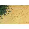 Kraken Wargames Gaming Mat: The Beach (92x92cm)