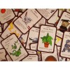 Munchkin - Color