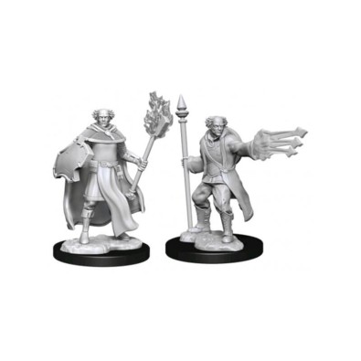 D&D Nolzur's Marvelous Miniatures - Multiclass Cleric + Wizard Male