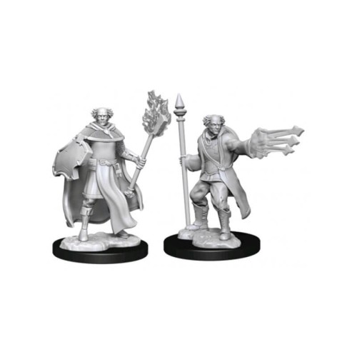 D&D Nolzur's Marvelous Miniatures - Multiclass Cleric + Wizard Male
