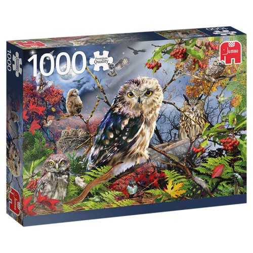 Owls in the Moonlight - Παζλ- 1000pc