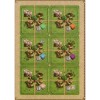 Rajas of the Ganges: Goodie Box 1 (Exp)