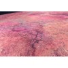 Gaming Mat - Scarlet Planet (111x152cm)