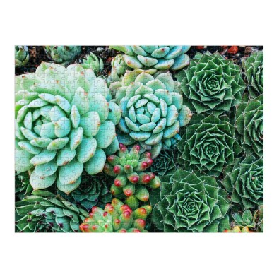 Succulent Garden - Παζλ Δύο Όψεων - 500pc