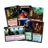 The Lord of the Rings: The Card Game – Angmar Awakened Hero (Exp)