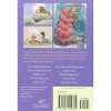 The Art of Disney: The Renaissance And Beyond Postcard Box