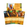 Valley of the Kings Premium Edition