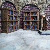 Bookshelf  Encyclopedia - 2pc