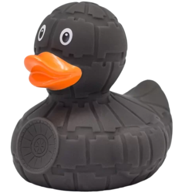 Grey Star Duck
